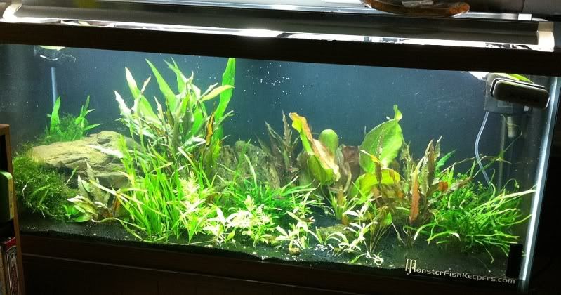TankUpdateRescape.jpg