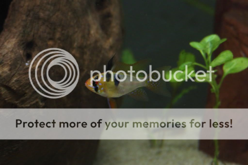 PictureT1i_20012.jpg