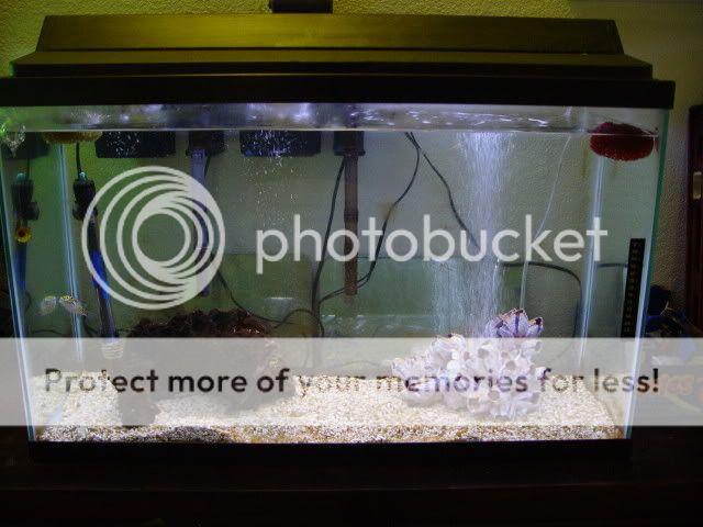 DSC03719.jpg