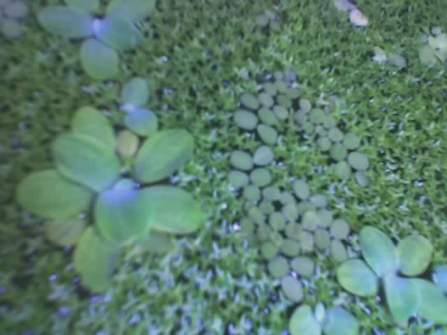 12-17-07_0017.jpg