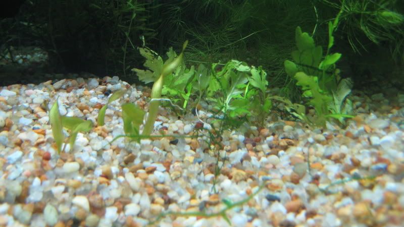 IMG_1680.jpg