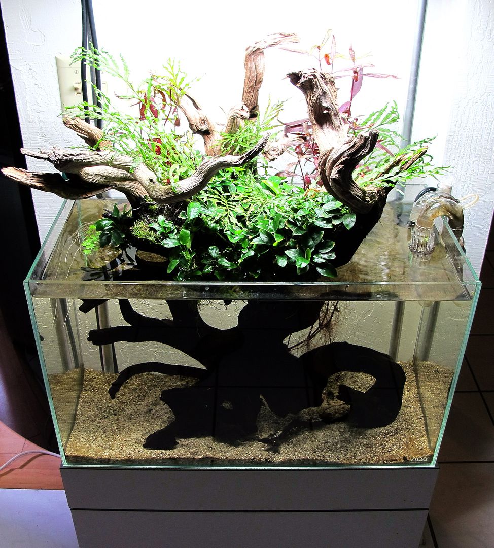 FTS60p11-24-12.jpg