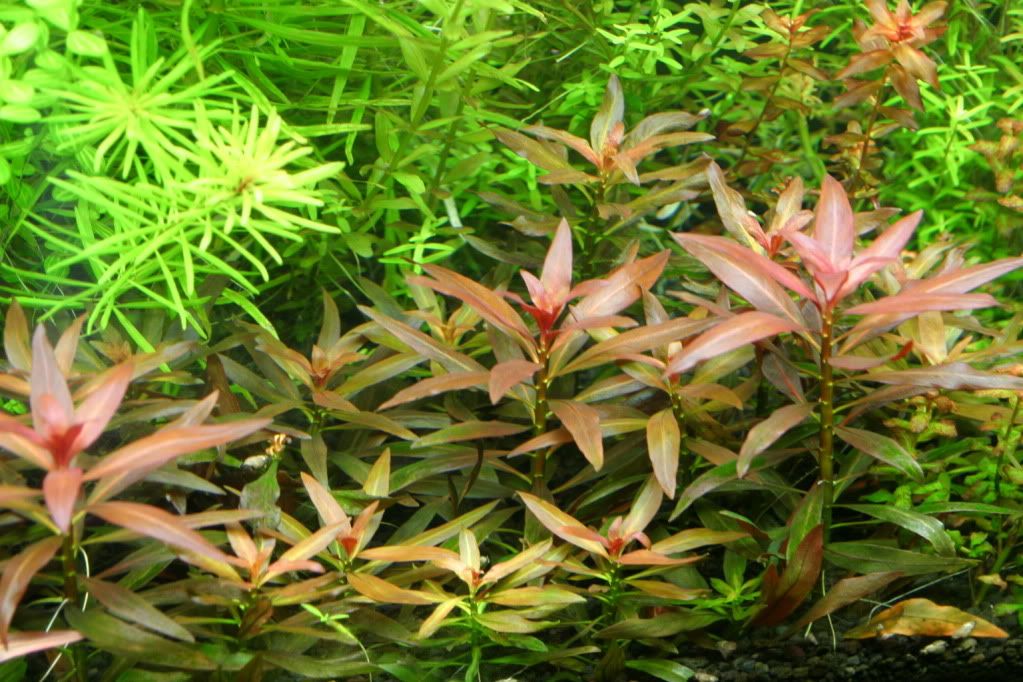 60g04-12-10010.jpg