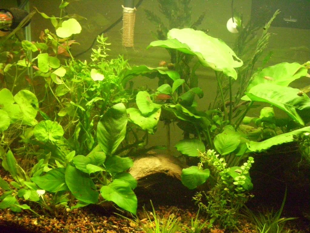 100_4668.jpg