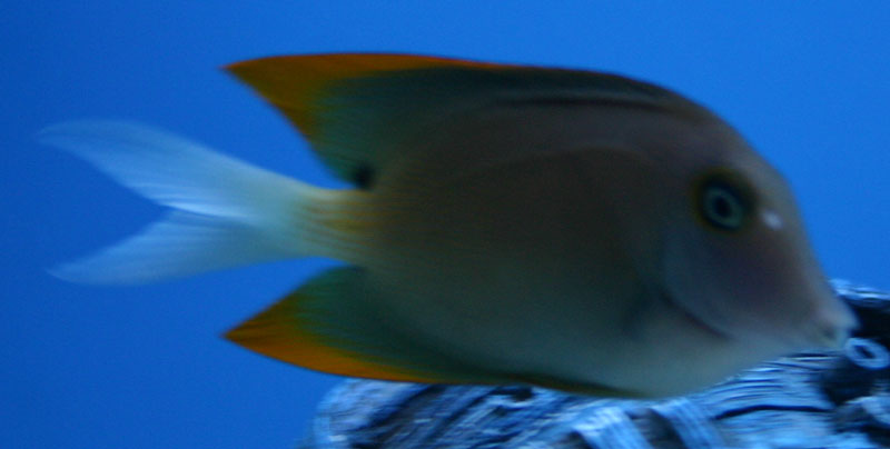 3001806798_fea4e347f6_o.jpg