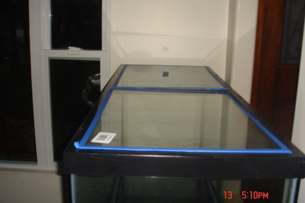 DSC01779.jpg