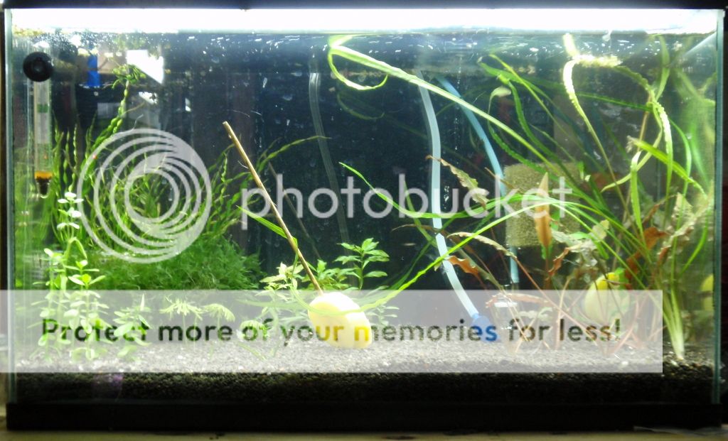 OtoHome_012512.jpg
