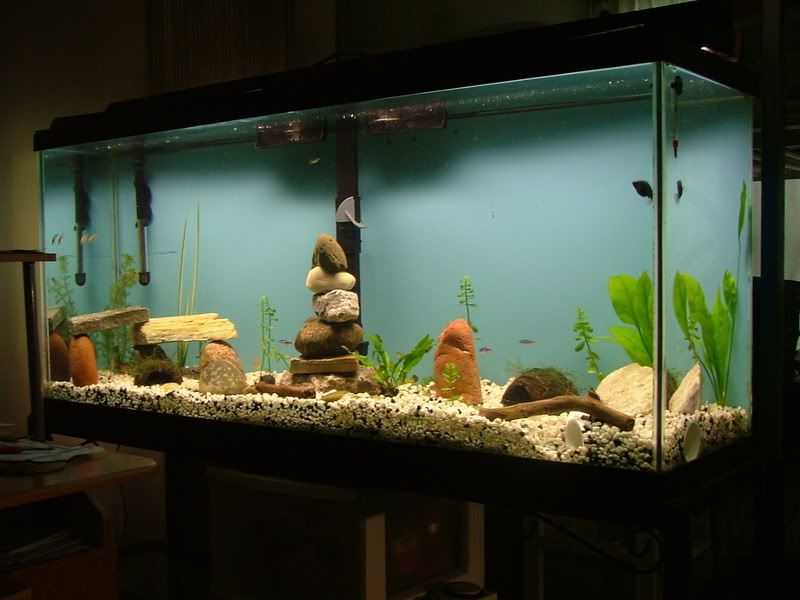 DSCF7848.jpg