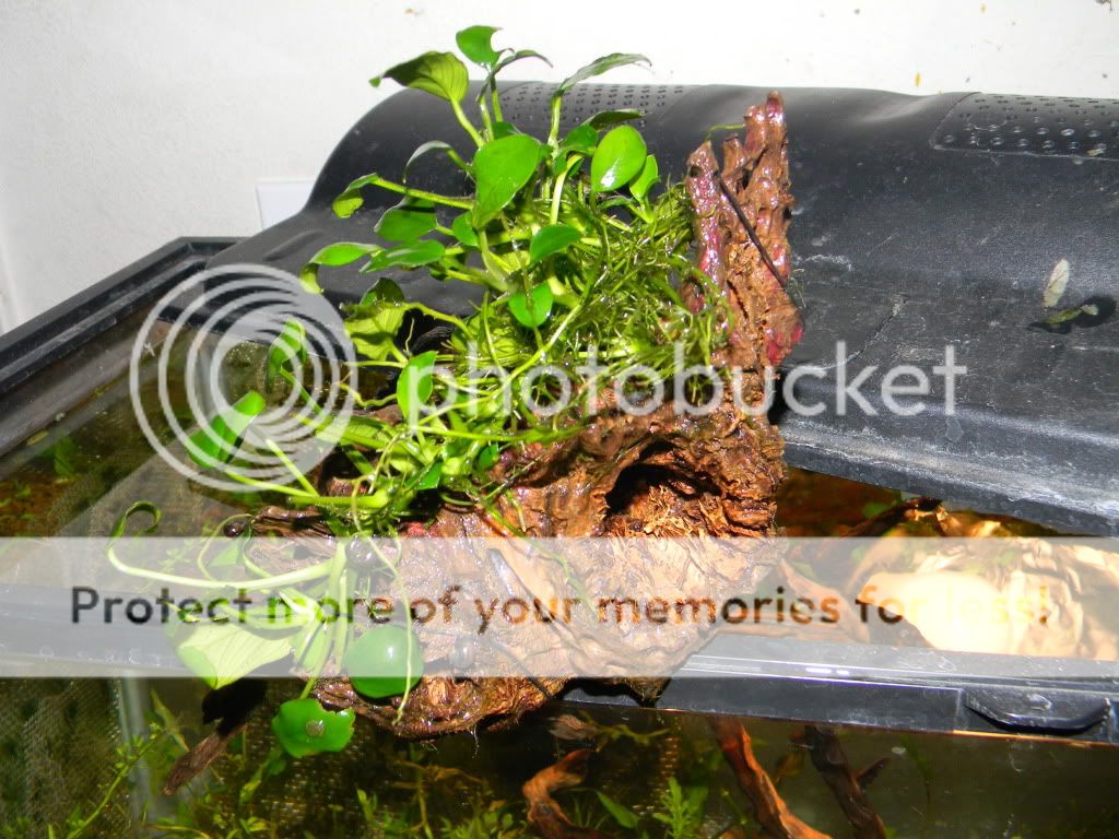 DSCN6966.jpg