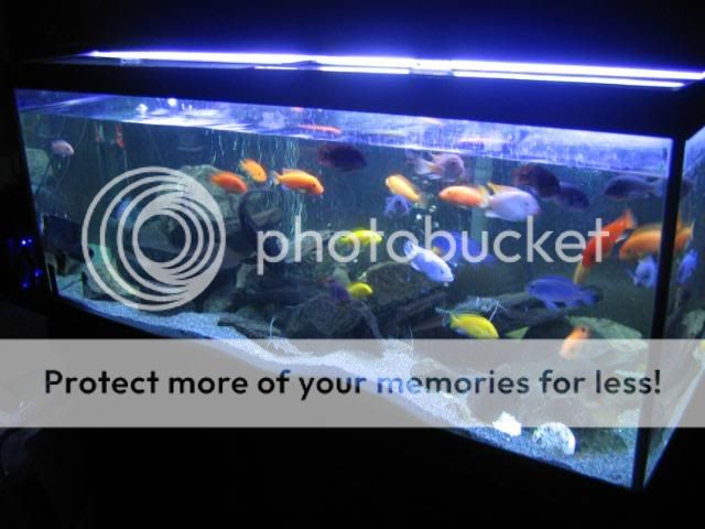 IMG_2918.jpg