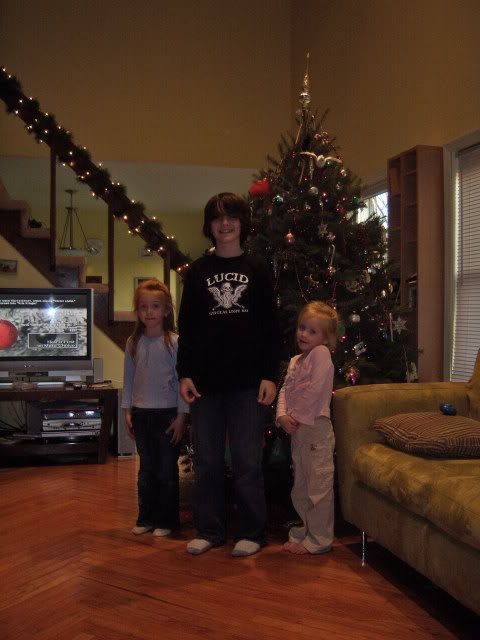 xmastree033.jpg