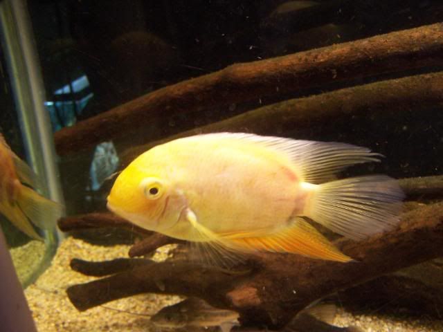 picture045.jpg