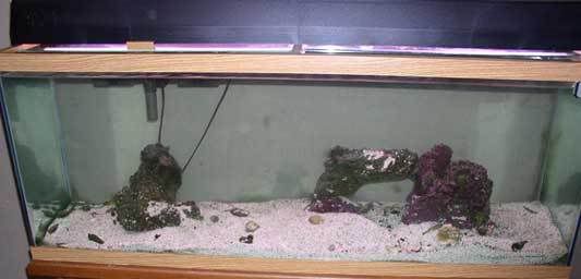 tank_0407.jpg