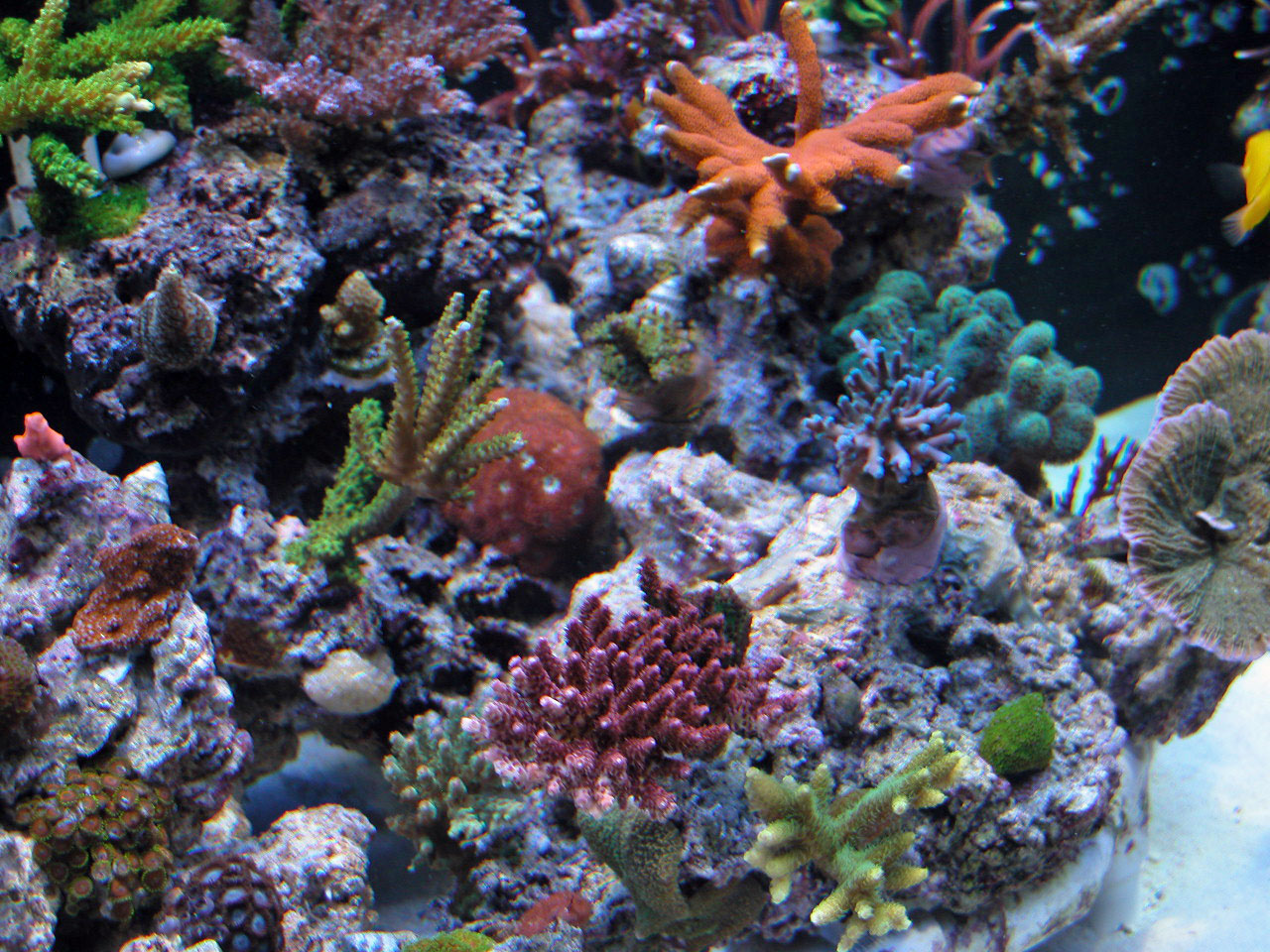 3752750179_81bc3b36f8_o.jpg