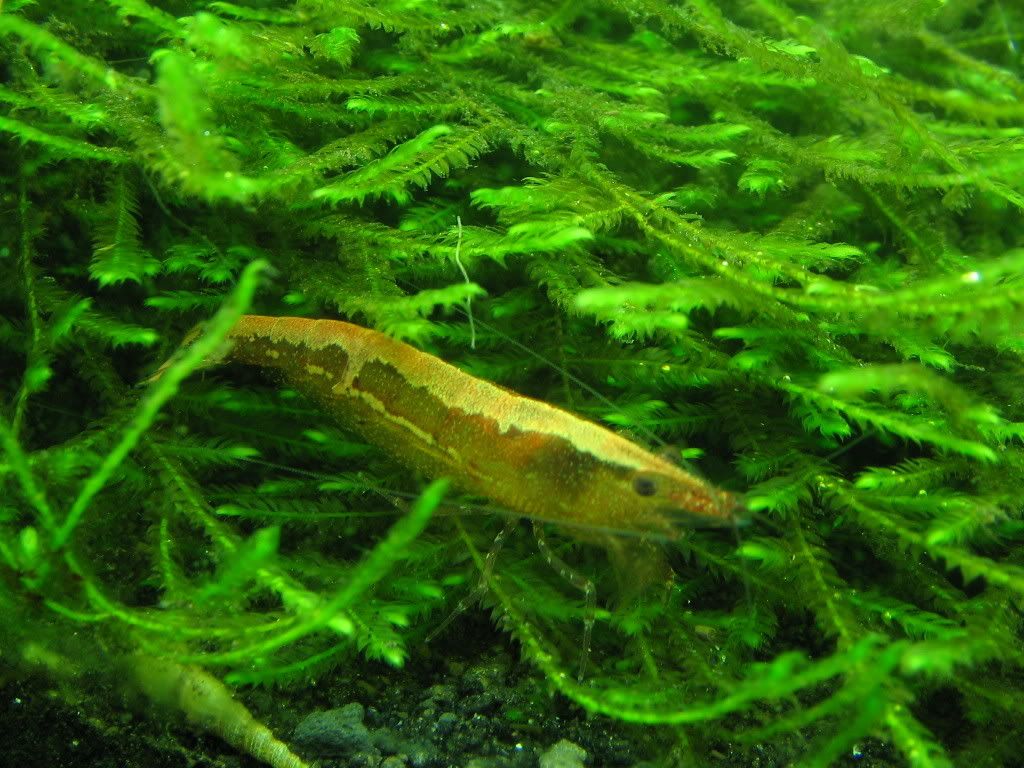 IMG_0073.jpg