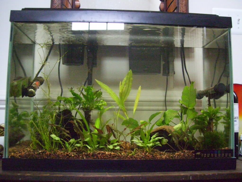 100_4170.jpg