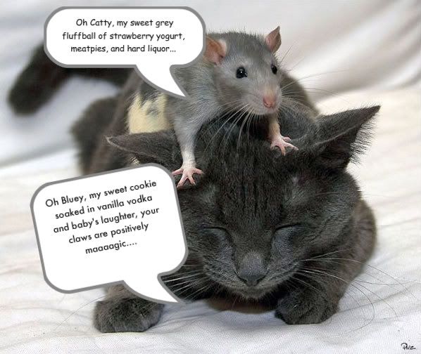 cat_amp_mouse.jpg