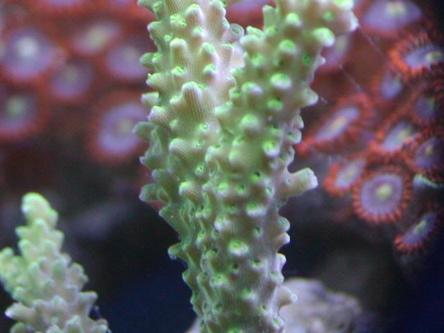 P1010004-38.jpg