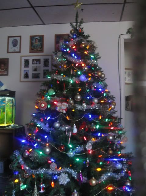 trranddecorations002.jpg