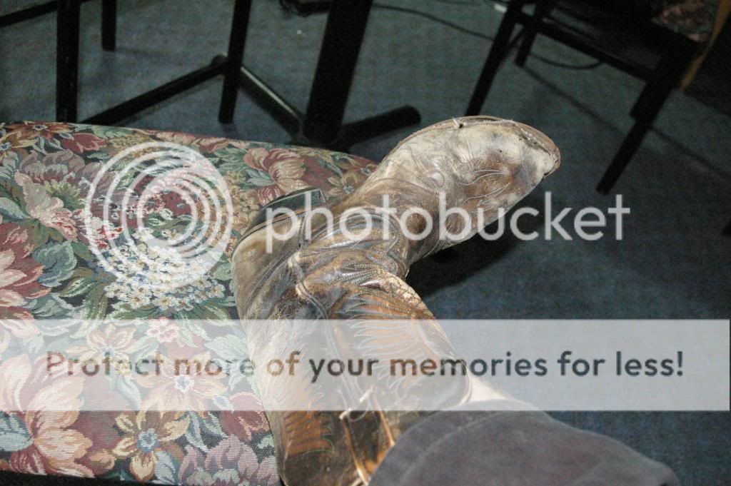 IMGP7791.jpg
