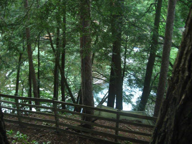 Picture065.jpg