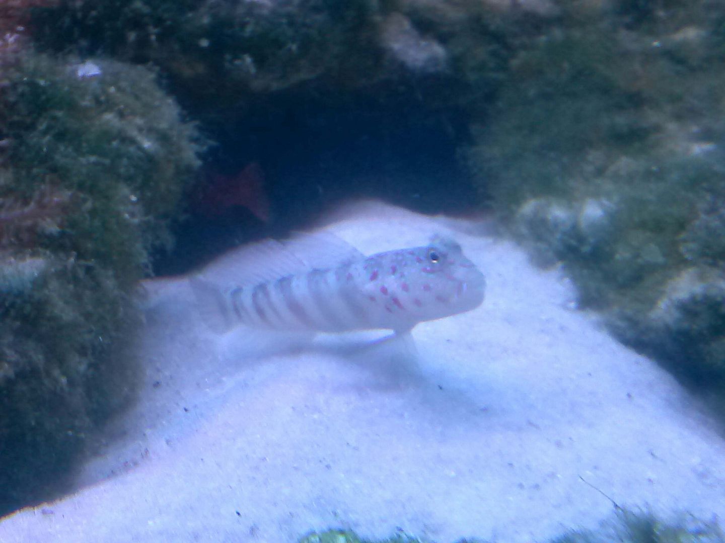 CAM00351.jpg