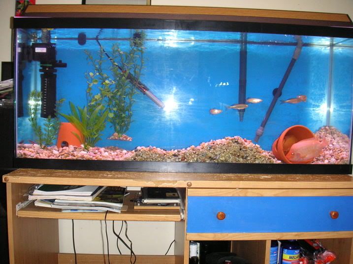 PICT0013.jpg