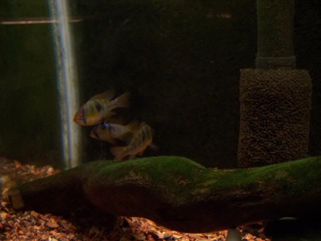 picture039.jpg