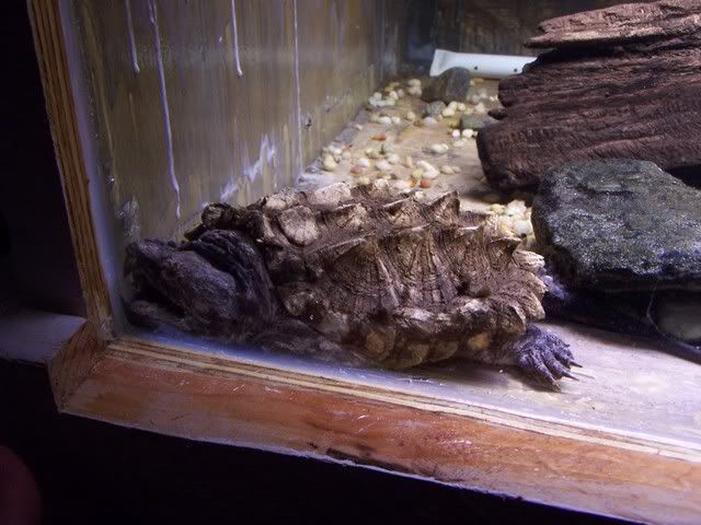 Picture005.jpg