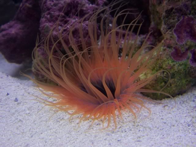 100_3810.jpg