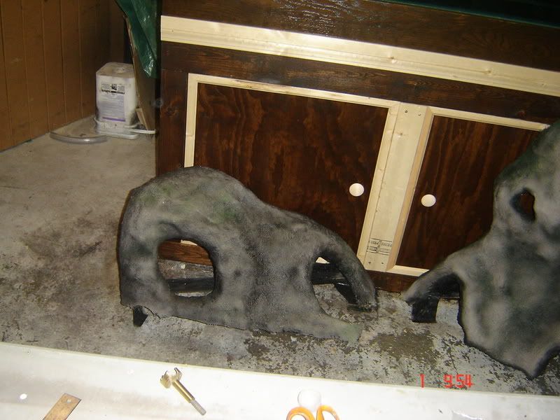 DSC02893.jpg