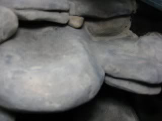IMG_1428_640x480_320x240.jpg
