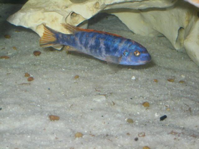 022-1.jpg