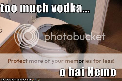 toomuchvodka128540849041808750.jpg