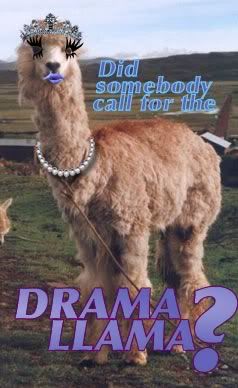 DramaLlama.jpg