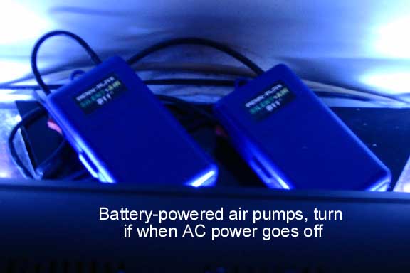 Oct2010BatteryPumps.jpg
