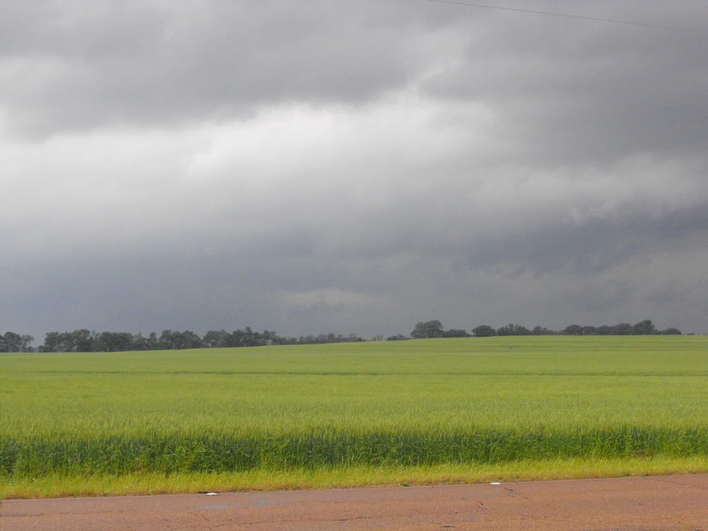 DSCF7249.jpg