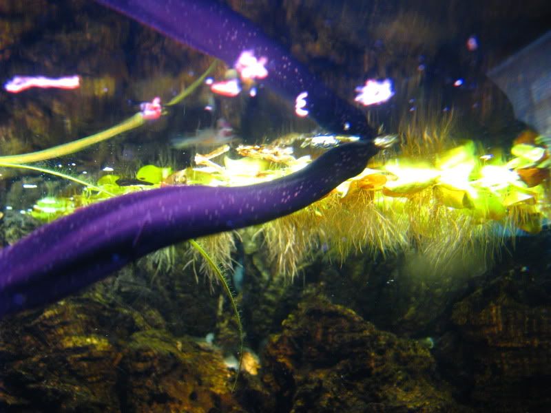 IMG_3701.jpg