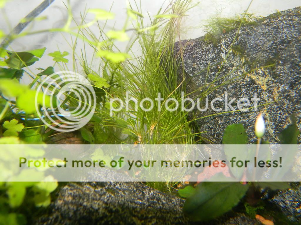DSCN6951.jpg