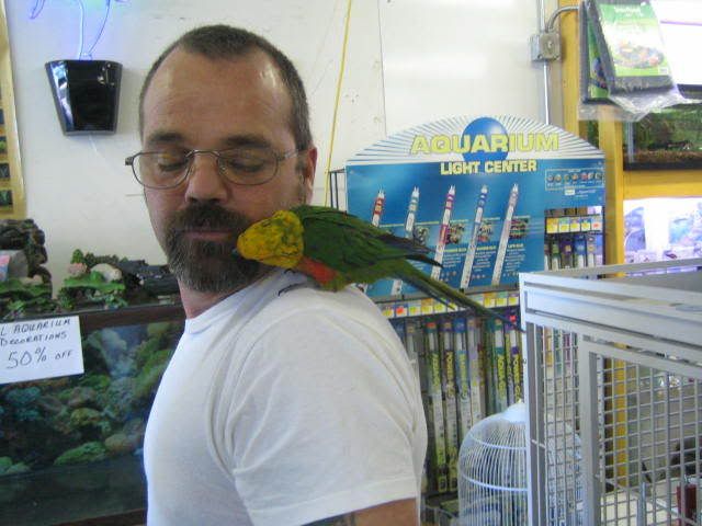sun20conure20002.jpg