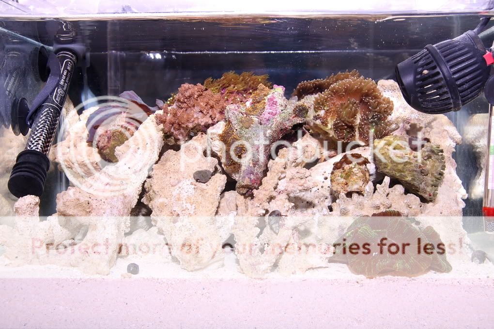 fts10-31-09.jpg