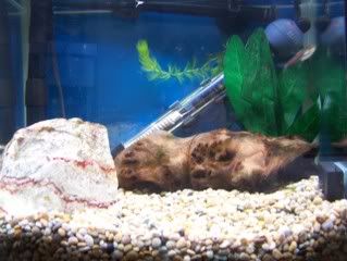 100_6170.jpg