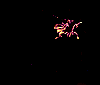 Fireworks_3.gif