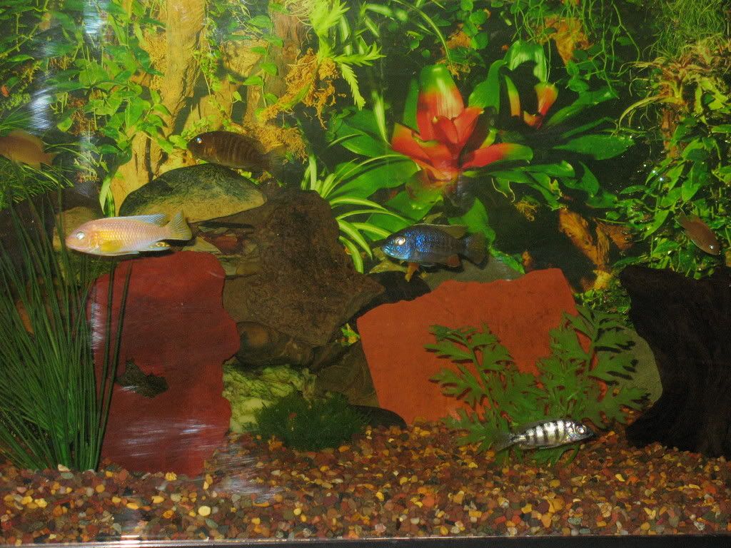 IMG_0174.jpg