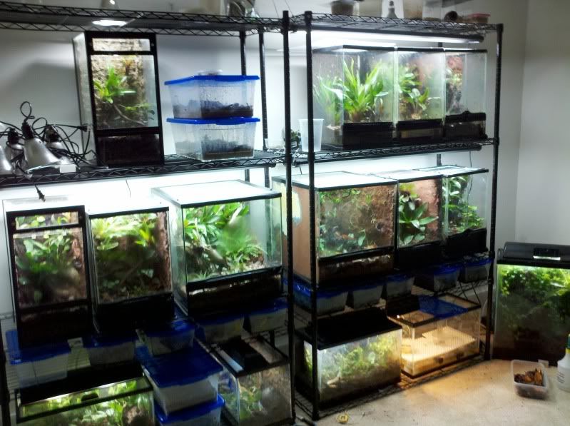 2011-10-10_16-58-45_788.jpg