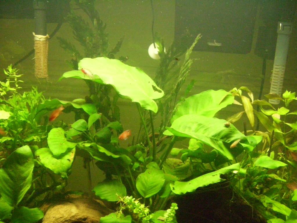 100_4665.jpg