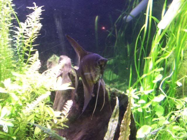 picture032.jpg
