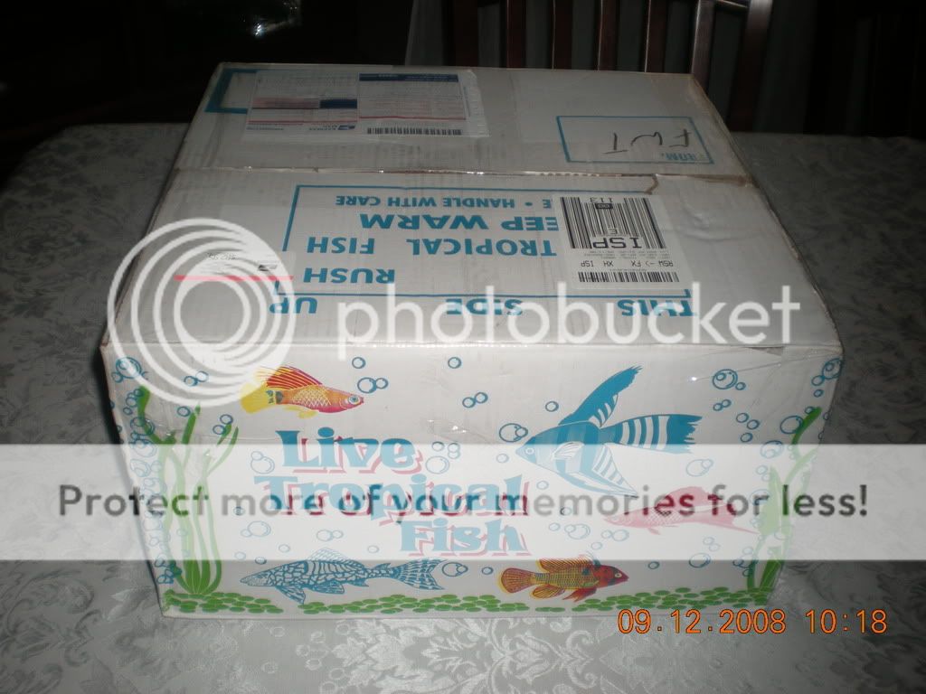 DSCN0917.jpg