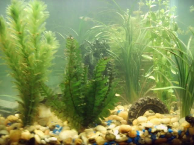 aquarium_003.jpg