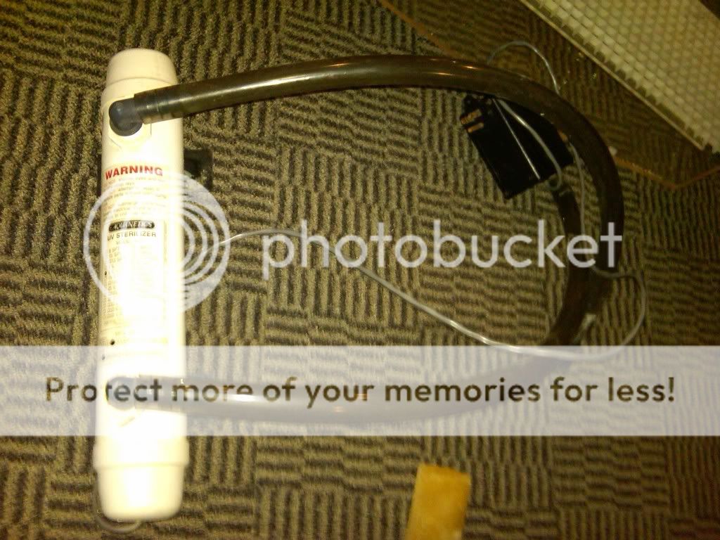 IMG00081-20100205-2131.jpg